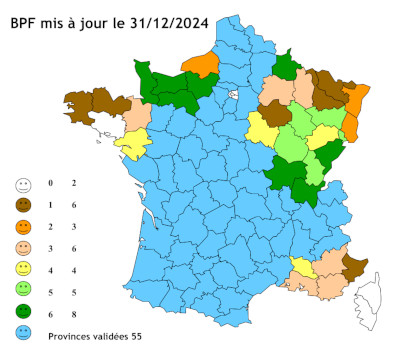 BPF pointés au 31/12/2024