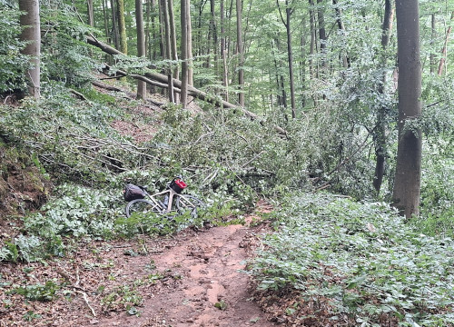 chemin barré