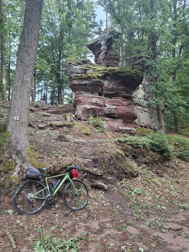 col petersbaechel