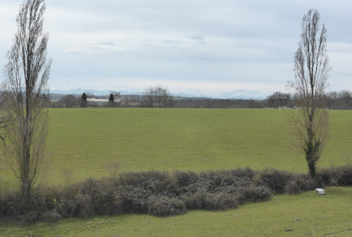 Au fond les Pyrénées