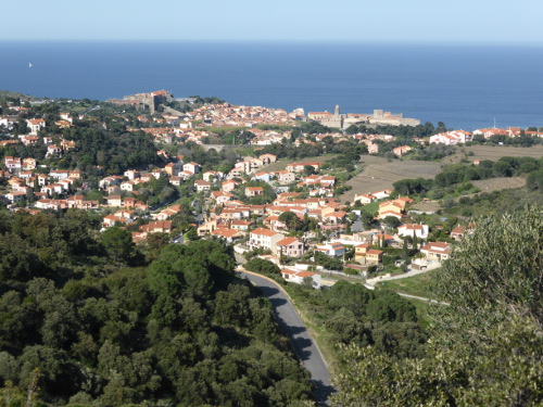 Collioure