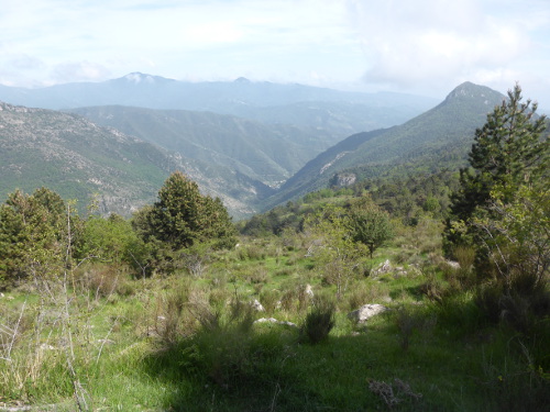 vallée du rio Barbaira