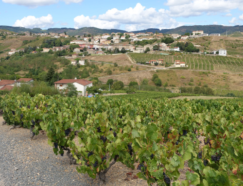Vaux en Beaujolais