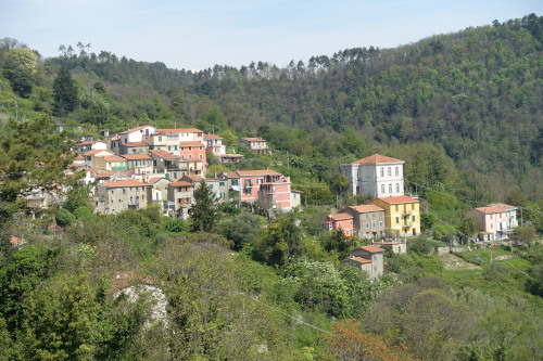 Campiglia