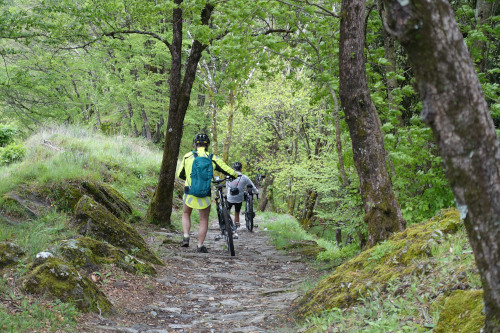 calade sur le chemin des pélerins