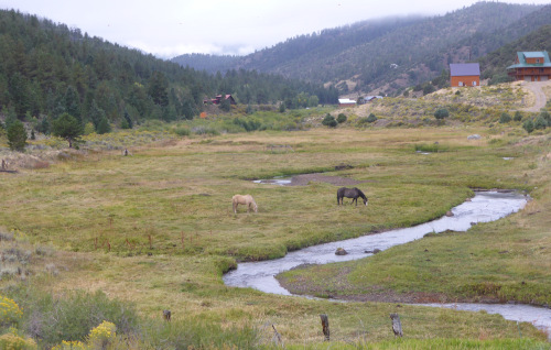 en montant Poncha pass