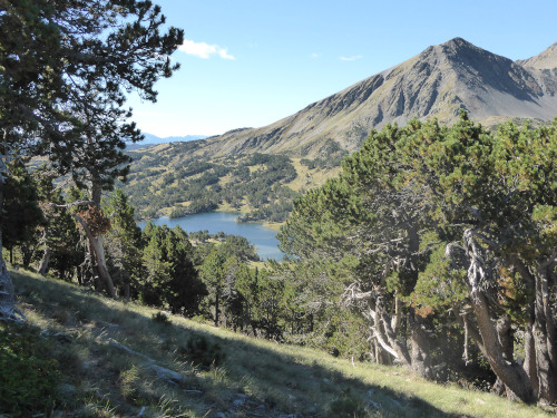 étang de Camporells