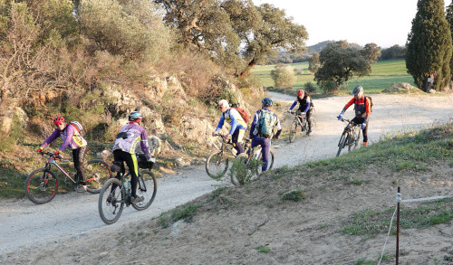 au collet GinebrerParmal