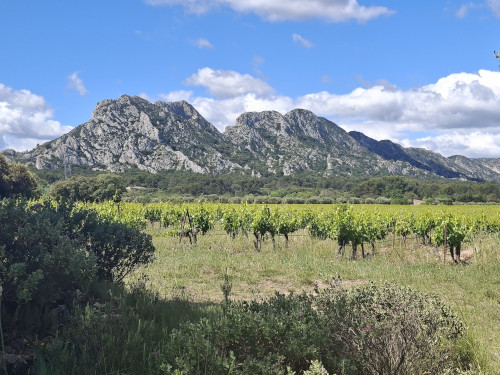 les Alpille