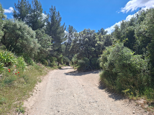 col de Mélet