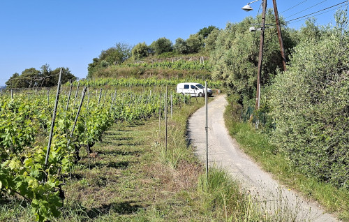 au col du Sapet