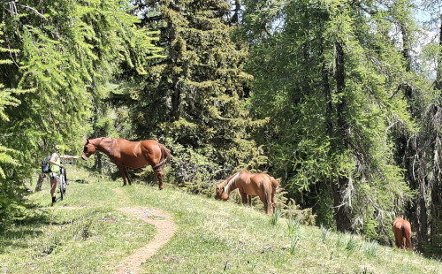 au col de Varaire