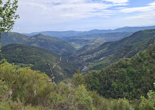 panorama