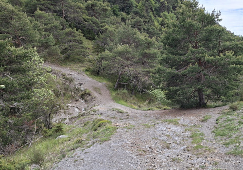 passo di Greisant