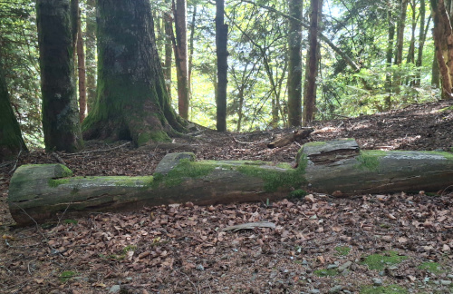 banc au col des Fenêtres