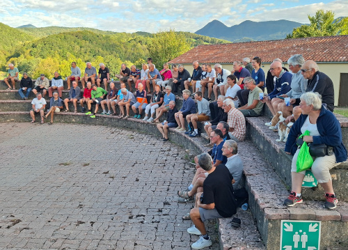 participants