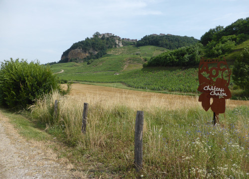 Chateau Chalon